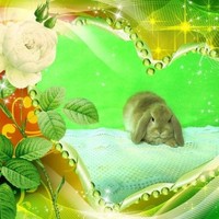 Catherine tropical sun