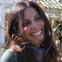 tali shavit