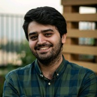 Amir Mohammad N Hosseini