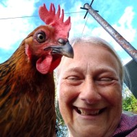 Gillian (Cooper) Bovaird