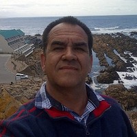 Henk Plessis