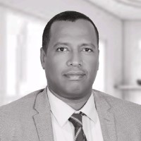 Mohamed Hamid