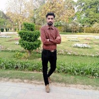 Hassan Jamil