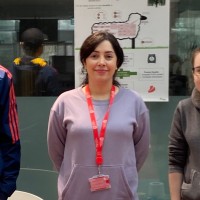Azadeh Dabiri