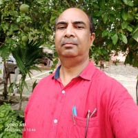 Braj Behari Sharma