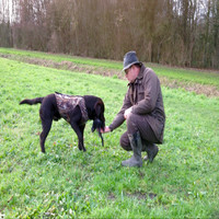 Roel De Vries