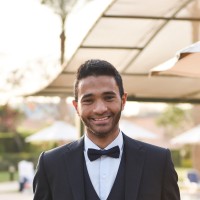 Ahmed El-Mansy
