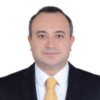 Mohammad Feras Al Hamwi