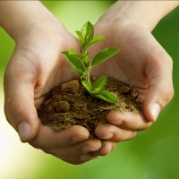 Cleangreen Solutions