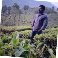 Manikandan Sriramulu