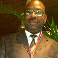 Dumisani Msibi