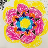 mayuko y