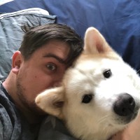 Pieter van den Dungen