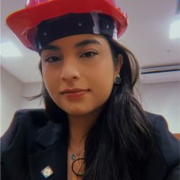 Amanda Martins Pinheiro