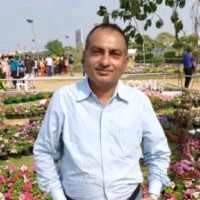 ashish bhatt