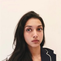 Vidhi Y.