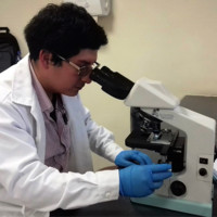 Edward Silvestre Chacma Lara