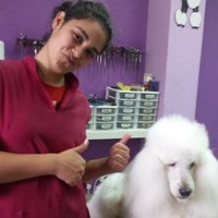 Adriana P. Gaitan Medina
