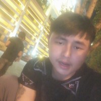杨林风