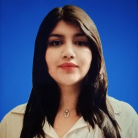 Liseth Julieth Castañeda Murillo