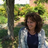 Anne M. Meore, Ma, Lmsw, Htr