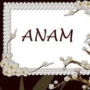 Anam Kausar