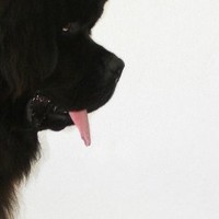 Dave Burrows CAE AMIMI Tech IOSH