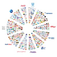 Moon and Star Group LLC