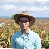 Xuemin Wang
