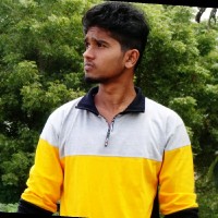 Janarthanan N