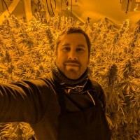 Pierre-Frédéric Bouvet