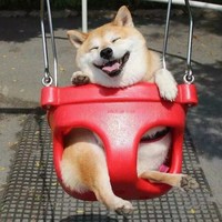 曾令晗