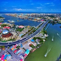 مجتبی انگوتی