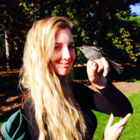 Chelsea Oland