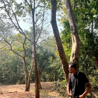 Arav Patel