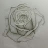 Emily Tonner