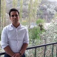 Hesam Safdari
