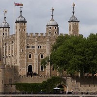 Lizkempsplit Split