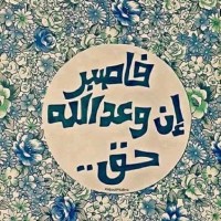 Mohamed Gaaied