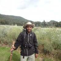 Peter Munene