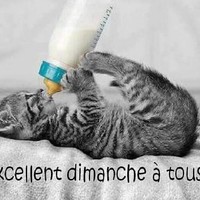 Lemdelel Dalloule