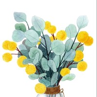 杨清河