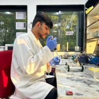Shubham Jha