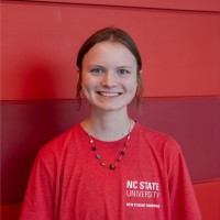 Allison Phillips