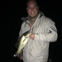 Travis Lauderman
