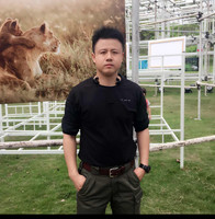 peter wang