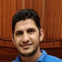 Mahmoud Noureldin