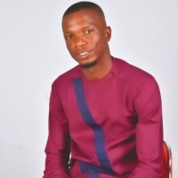 Nelson N. L Ozoemena