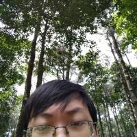 Duc Bui