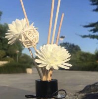 连舒婷